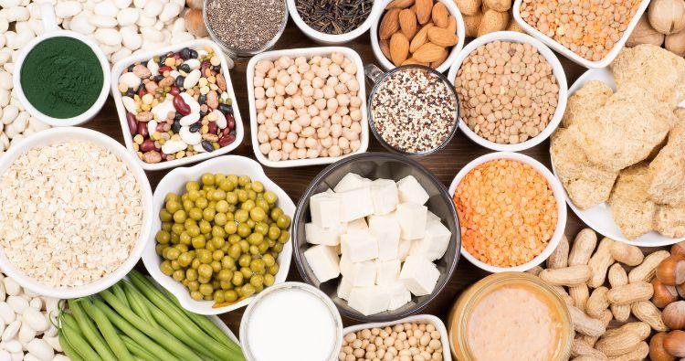 The Role of Protein in Your Diet