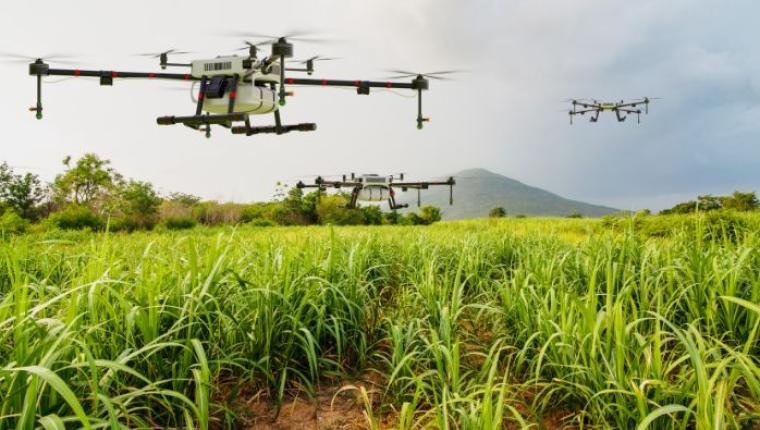 How Technology is Driving Agricultural Growth: Innovations in Farming