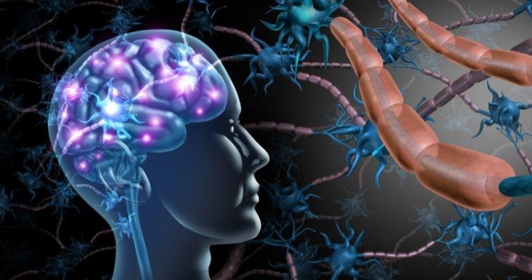 Understanding the Gut-Brain Connection: How Diet Affects Mental Health