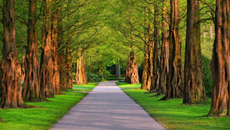 Exploring the Hidden Gems of the UK: Off-the-Beaten-Path Spots