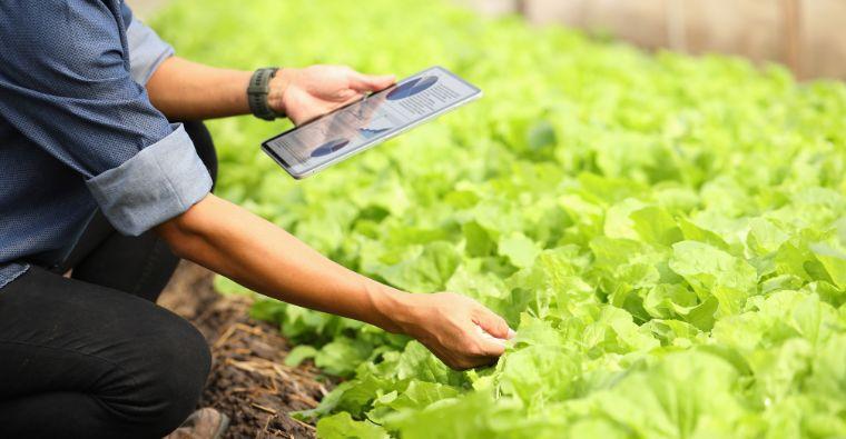 Cultivating Customer Loyalty for Business Growth