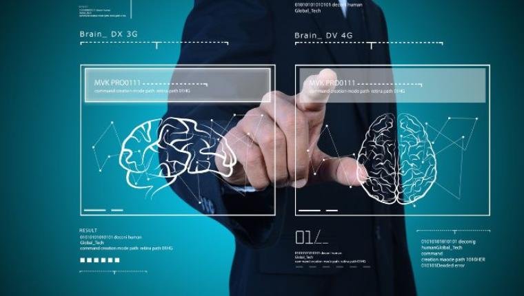 Navigating Different Categories of Human Development