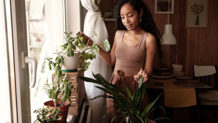 How to Build a Sustainable Lifestyle Using Natural Resources