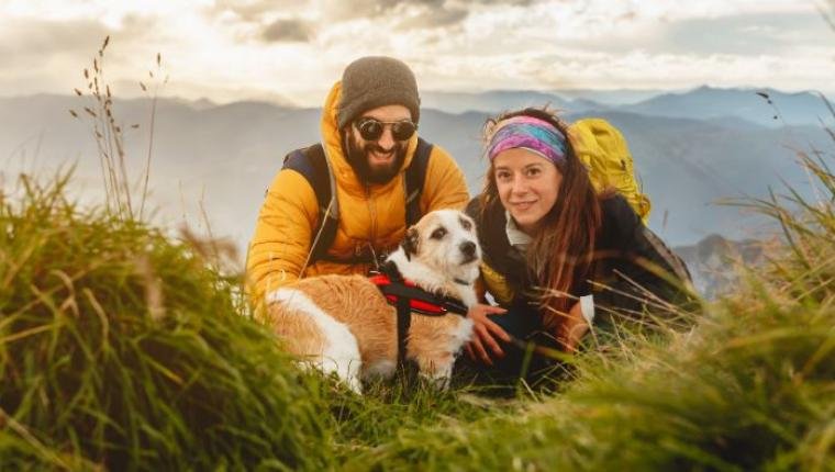 Traveling with Pets: Tips for Pet-Friendly Vacations