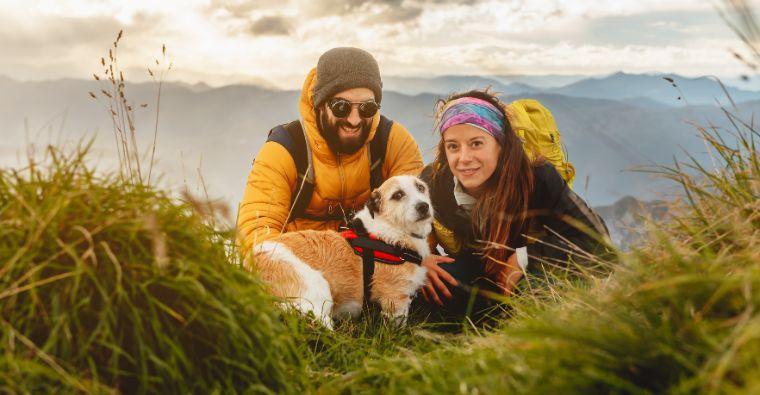 Traveling with Pets: Tips for Pet-Friendly Vacations