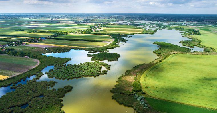 The Importance of Biodiversity: How Every Species Plays a Role in Our Ecosystem