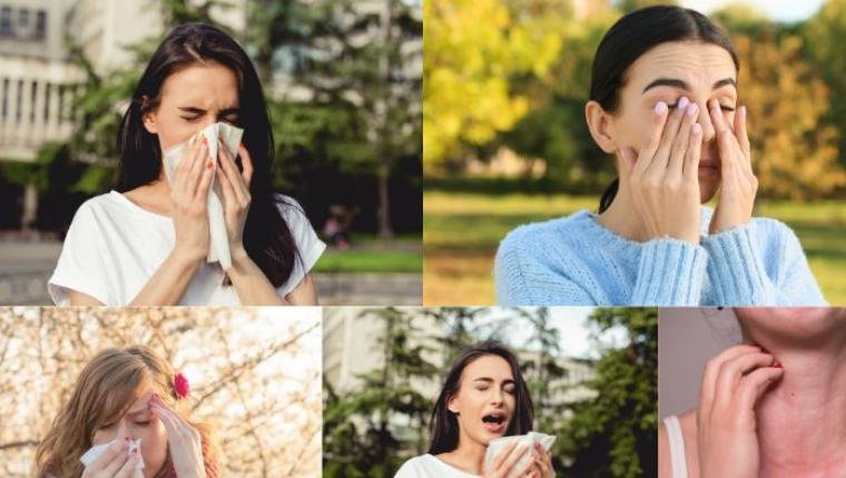 Understanding and Managing Seasonal Allergies