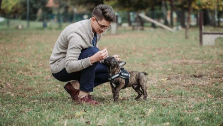 The Boy Who Spoke to Animals