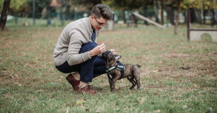 The Boy Who Spoke to Animals