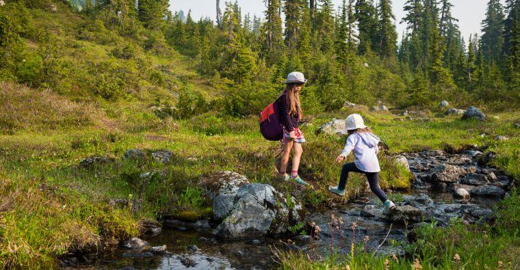 The Serenity and Vitality of Nature: A Journey into the Wild