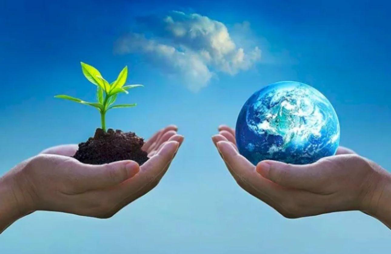 Nature: Understanding Its Importance and Our Responsibility to Protect It