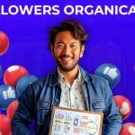 How to Grow Your Social Media Following Organically: A Guide to Social Media Success