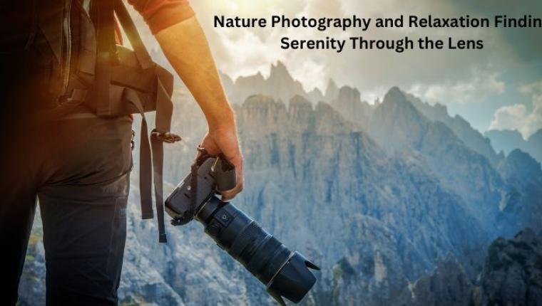 Nature Photography and Relaxation Finding Serenity Through the Lens