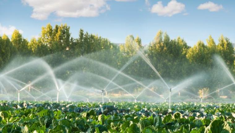 Smart Irrigation Systems: A Game Changer for Farmers