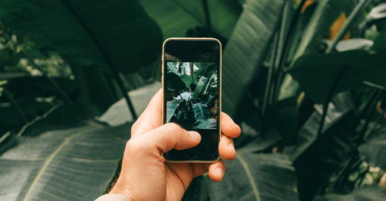 Smartphone Photography: Tips for Capturing Stunning Images